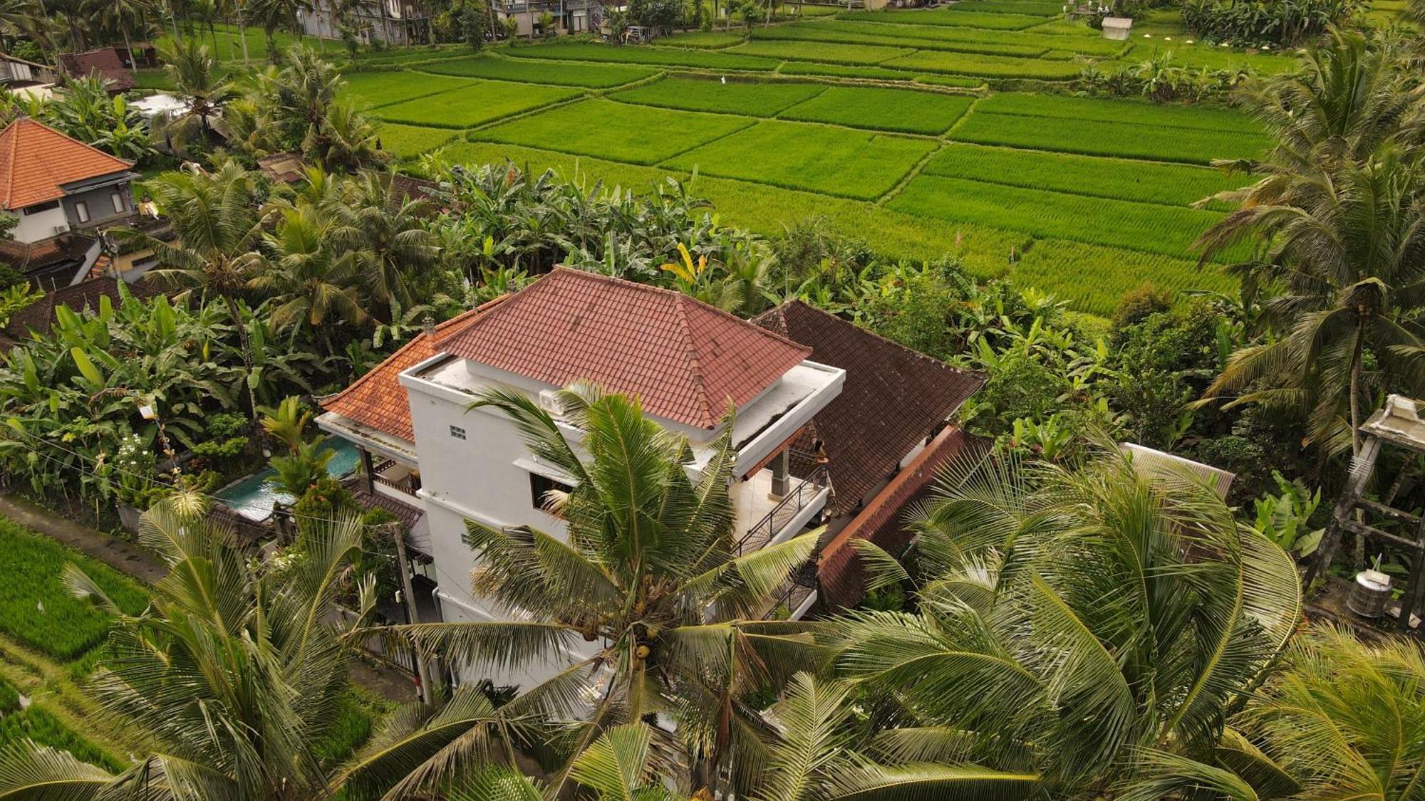 Nirwa 1 Ubud Guesthouse 外观 照片