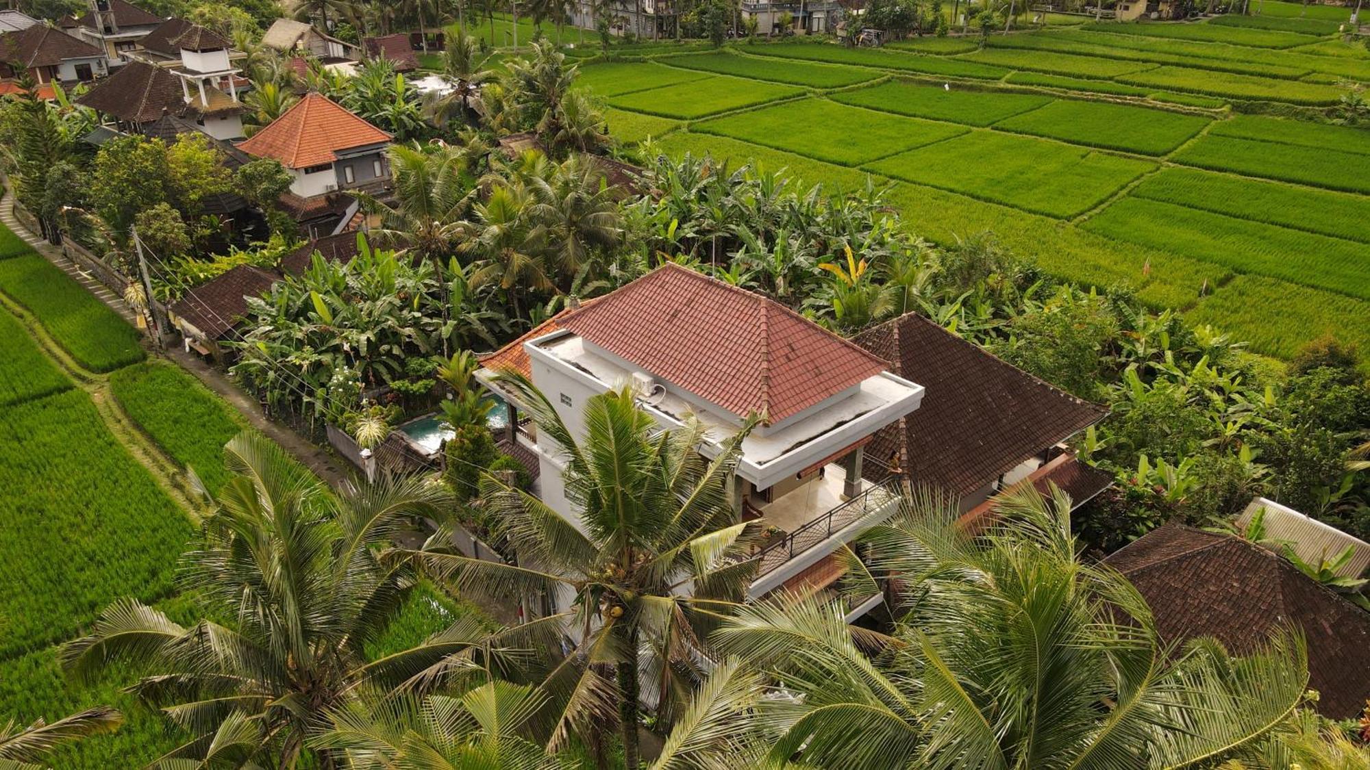 Nirwa 1 Ubud Guesthouse 外观 照片